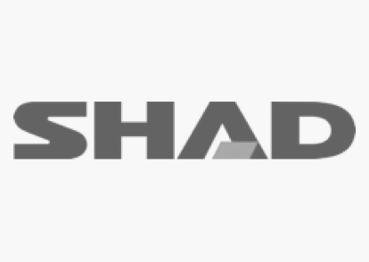 Shad