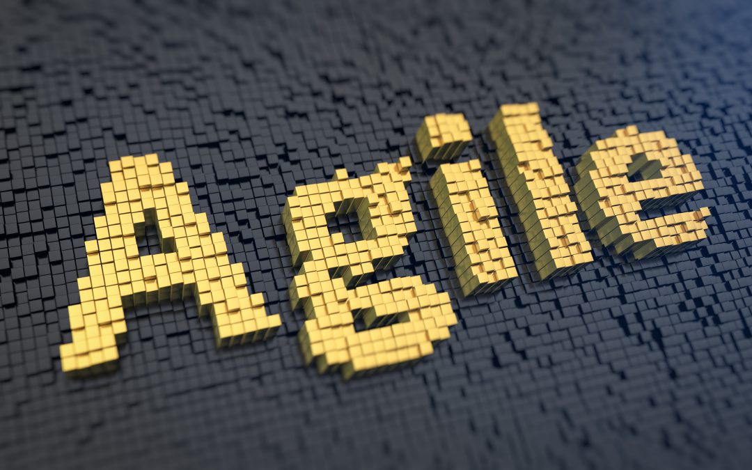 Ser #Agile vs Hacer #Agile